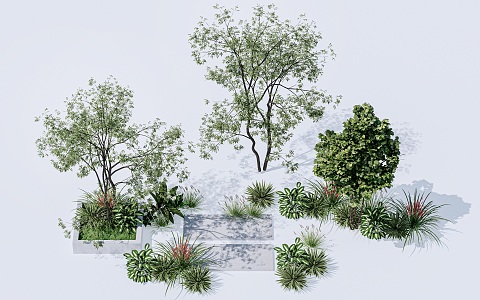 Landscape Plants Landscape Trees Landscape Shrubs Landscape Trees 3d model