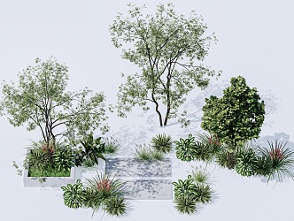 Landscape Plants Landscape Trees Landscape Shrubs Landscape Trees 3d model