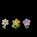 Vibrant Colorful Flower Photo Spot With Pink White Yellow Purple Blooms And Green Stems