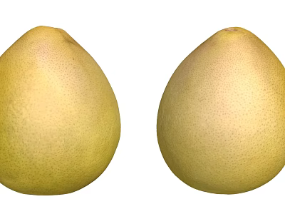 Two Fresh Ripe Yellow Grapefruits Healthy Juicy Fruits With Smooth Skin 3d model