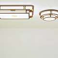 Modern Decorative Ceiling Lights With Square And Round Metal Frame Design 3d model