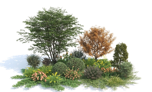 modern shrub plants flowers and plants combination 3d model