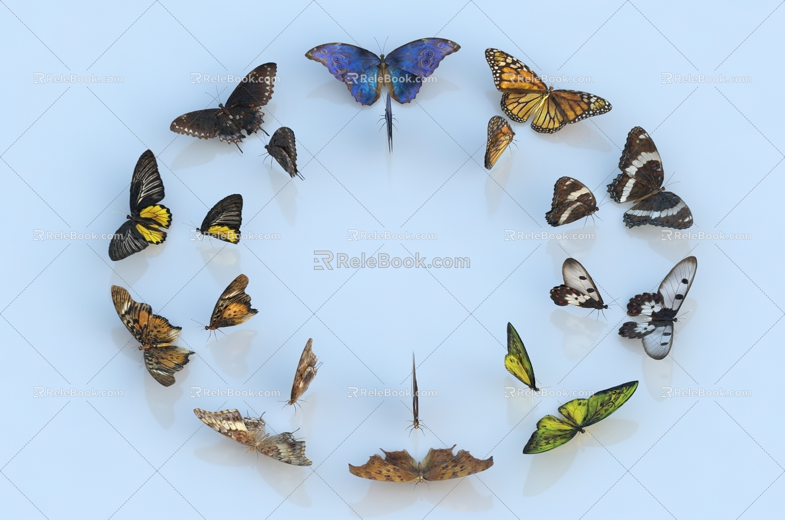 Modern butterfly insect golden phoenix butterfly multi-tailed phoenix moth blue flash butterfly 3d model