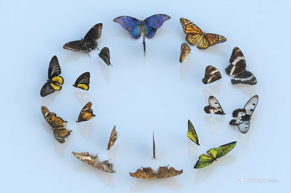 Colorful Butterflies Forming A Circle With Spread Wings On Light Blue Background 3d model 