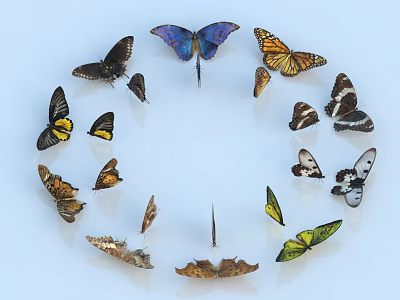 Colorful Butterflies Forming A Circle With Spread Wings On Light Blue Background 3d model