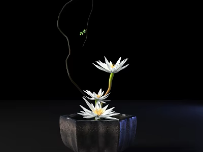White Water Lilies In Decorative Pot With Curved Branch And Green Buds On Black Background 3d model