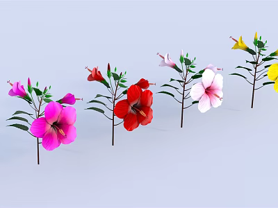 Colorful Flowering Plants with Pink Red White Yellow Blooms and Green Leaves 3d model