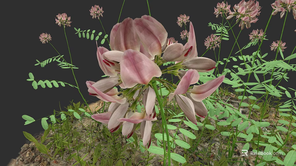 Botanical Painting Featuring Pink Flowers Green Leaves And Small Blooms On Dark Background 3d model 