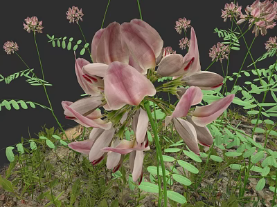 Botanical Painting Featuring Pink Flowers Green Leaves And Small Blooms On Dark Background 3d model