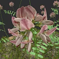 Botanical Painting Featuring Pink Flowers Green Leaves And Small Blooms On Dark Background