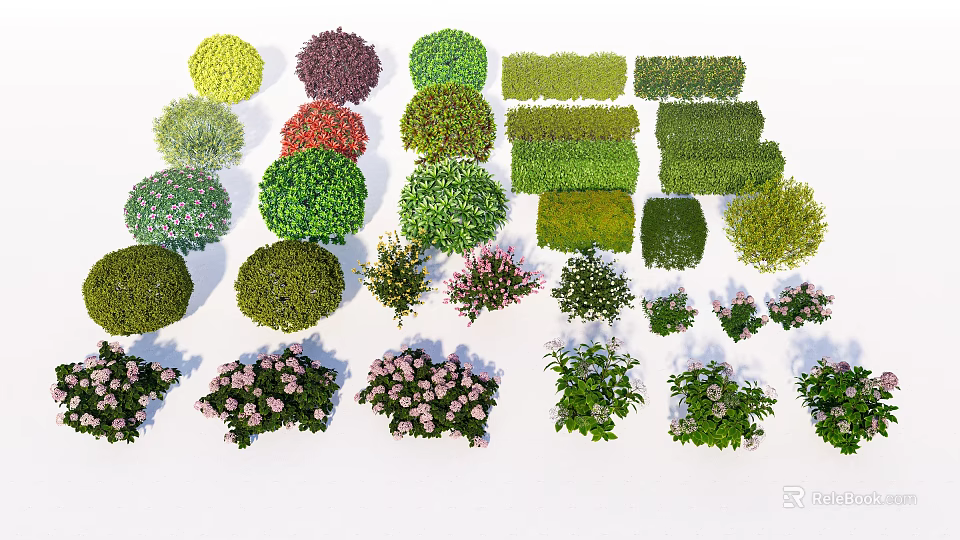 Diverse Garden Shrubs Collection With Various Colors Shapes And Flowering Types 3d model 