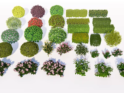 Diverse Garden Shrubs Collection With Various Colors Shapes And Flowering Types 3d model