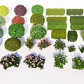 Diverse Garden Shrubs Collection With Various Colors Shapes And Flowering Types