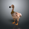 Dodo Bird With Brown Feathers Yellow Feet Black Beak Plump Body And Short Wings