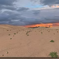 Breathtaking Desert Dune Landscape At Warm Sunset With Camel Caravan Under Dramatic Cloudy Evening Sky