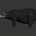 3D Rendered Badger Like Animal With Dark Gray Fur Light Face And Pink Nose Details