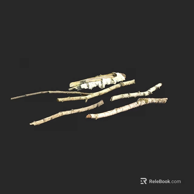 Reptile Lizard Resting On White Birch Branches Against Black Background 3d model