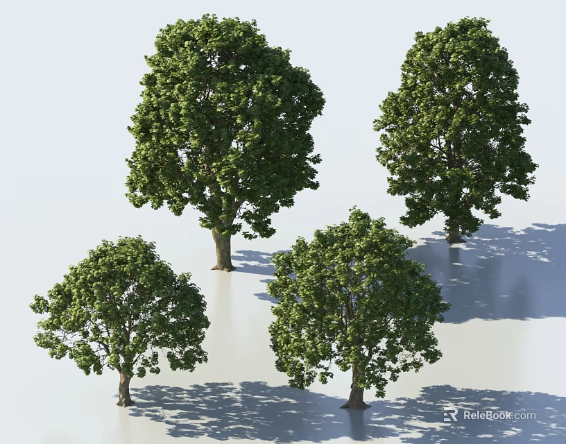 Multiple Arbor Trees in Different Sizes Featuring Green Foliage Trunks and Ground Shadows 3d model