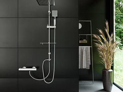 Modern Shower Room With Black Tiles Chrome Shower System Metal Shelf And Potted Plant 3d model