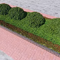 Well Trimmed Round Shrubs With Low Red Green Bushes Stone Wall And Red Brick Pavement