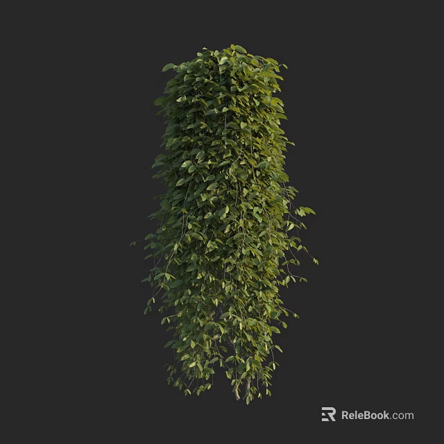 Lush Green Hanging Vine Plant With Dense Foliage And Cascading Leaves 3d model 