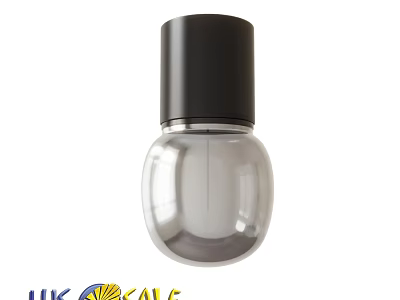 Modern Black Top Transparent Globe Design Ceiling Light For Home Interior 3d model