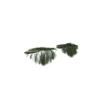 Various Green Shrubs With Lush Dense Foliage For Garden Landscape Design
