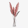 Pink Feathery Pampas Grass and Dark Floral Sprigs in Transparent Glass Vase