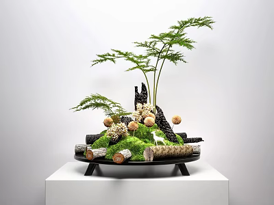 Decorative Bonsai Plant Arrangement With Green Moss Mushroom Decor And Black Tray 3d model