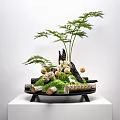 Decorative Bonsai Plant Arrangement With Green Moss Mushroom Decor And Black Tray