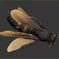 3D Rendered Wasp With Black And Yellow Stripes And Orange Wings On Gray Background