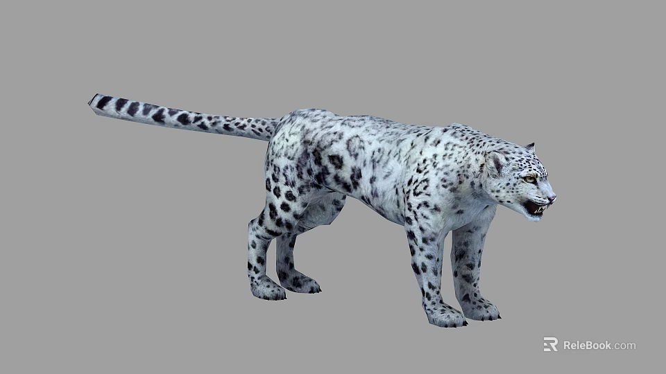 Realistic 3D Snow Leopard Model With White Fur And Black Spots Standing 3d model 