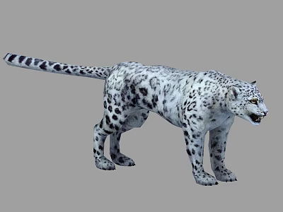Realistic 3D Snow Leopard Model With White Fur And Black Spots Standing 3d model