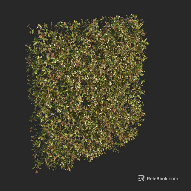 Vibrant Lush Plants With Green And Red Leaves In Irregular Shape On Black Background 3d model 