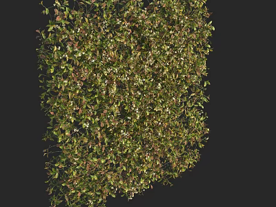 Vibrant Lush Plants With Green And Red Leaves In Irregular Shape On Black Background 3d model