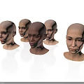 Multiple Bald Women Head Models Showcasing Various Skin Tones And Facial Features
