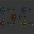 Colorful Potted Plants With Purple Red Yellow Pink Blue Flowers And Green Leaves