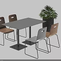 Dining Table Set Featuring White Top Light Wooden White Chairs Metal Legs And Green Plant