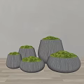 Bonsai Potted Plants In Wooden Textured Pots With Green Moss And Various Sizes