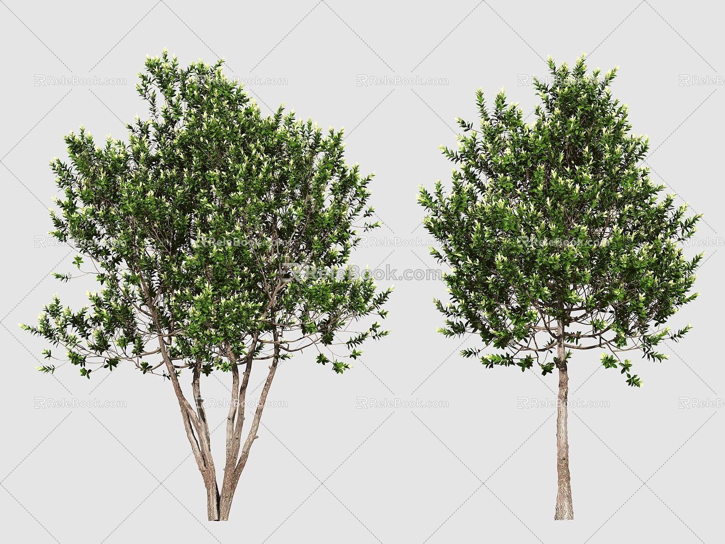 Tree Landscape Tree Small Tree 3d model