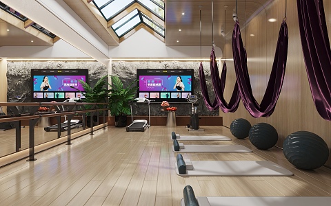 Sank Yoga Gym 3d model