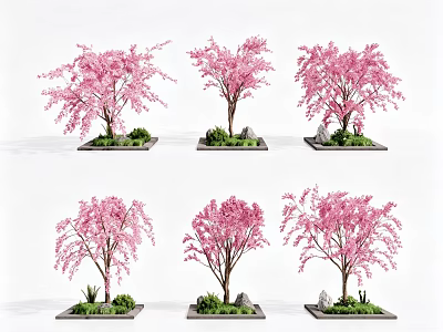 Pink Flowering Arbor Trees with Square Base Green Grass and Stones 3d model