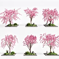 Pink Flowering Arbor Trees with Square Base Green Grass and Stones