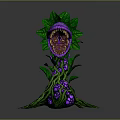 Mysterious Plant With Green Leaves Purple Body Open Mouth Sharp Teeth Vines