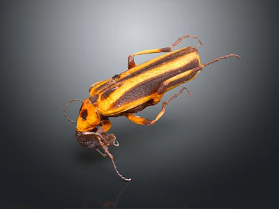 Yellow and Black Striped Beetle With Detailed Body And Long Legs On Dark Background 3d model