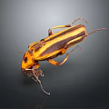 Yellow and Black Striped Beetle With Detailed Body And Long Legs On Dark Background