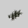 Trees In Various Types And Different Forms Isolated On Black Background With Green Foliage 3d model