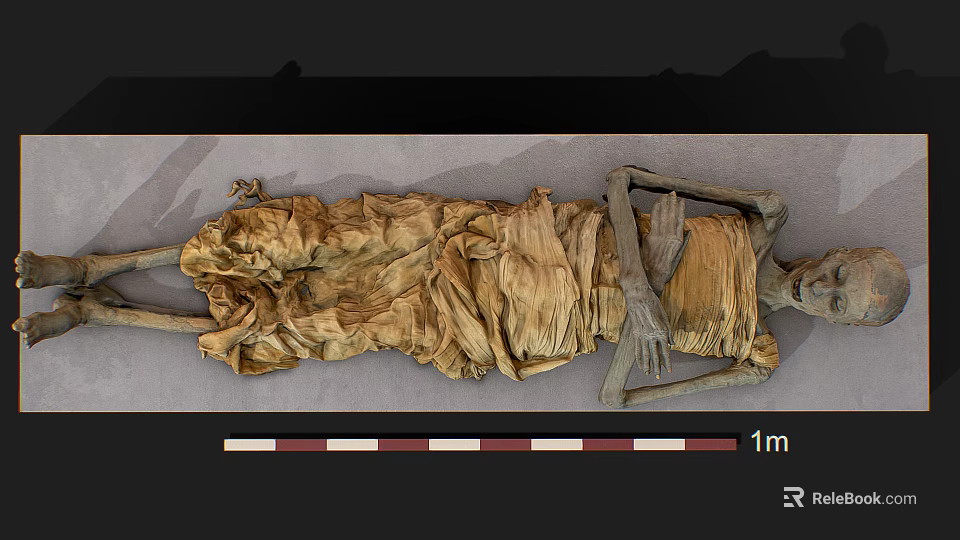 Ancient Skeleton Remains Wrapped in Aged Cloth With One Meter Measurement Scale 3d model 