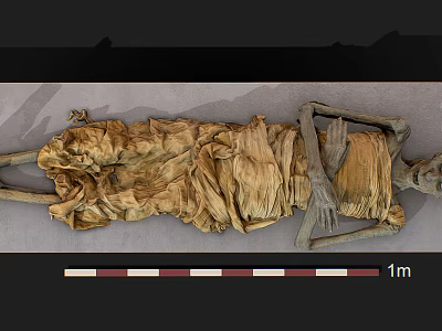Ancient Skeleton Remains Wrapped in Aged Cloth With One Meter Measurement Scale 3d model