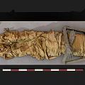 Ancient Skeleton Remains Wrapped in Aged Cloth With One Meter Measurement Scale